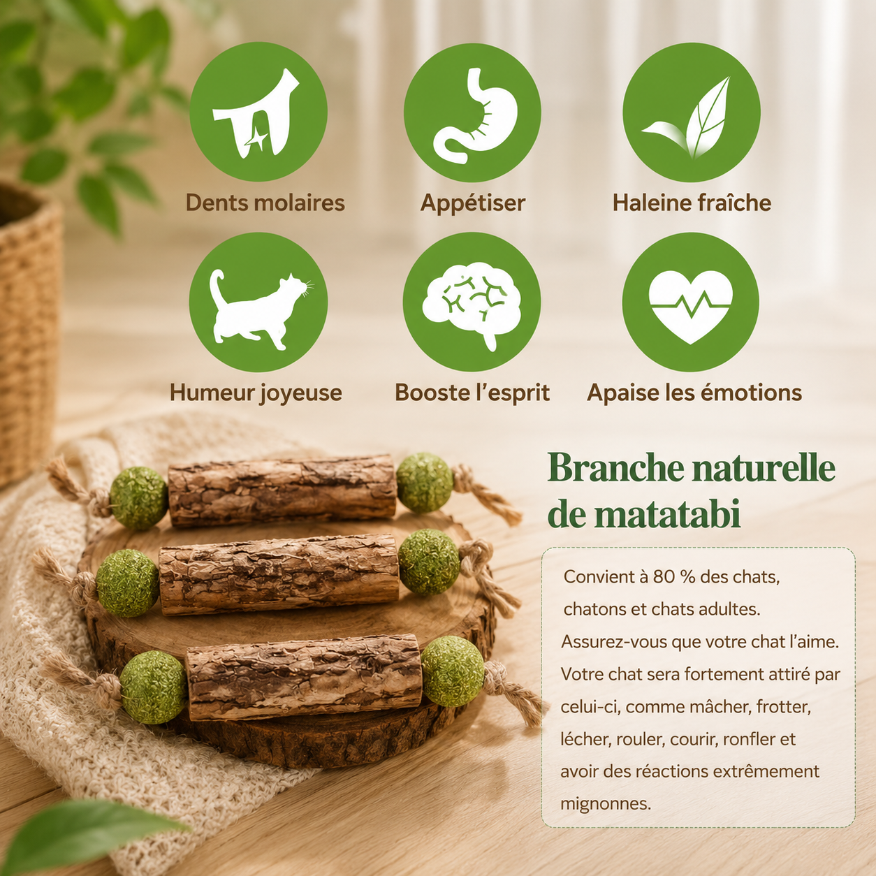 Set 3 pcs bâtonnets à jouer en matatabi pour chats