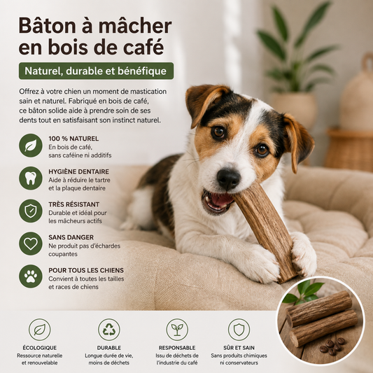 Bâton à mâcher en bois de café