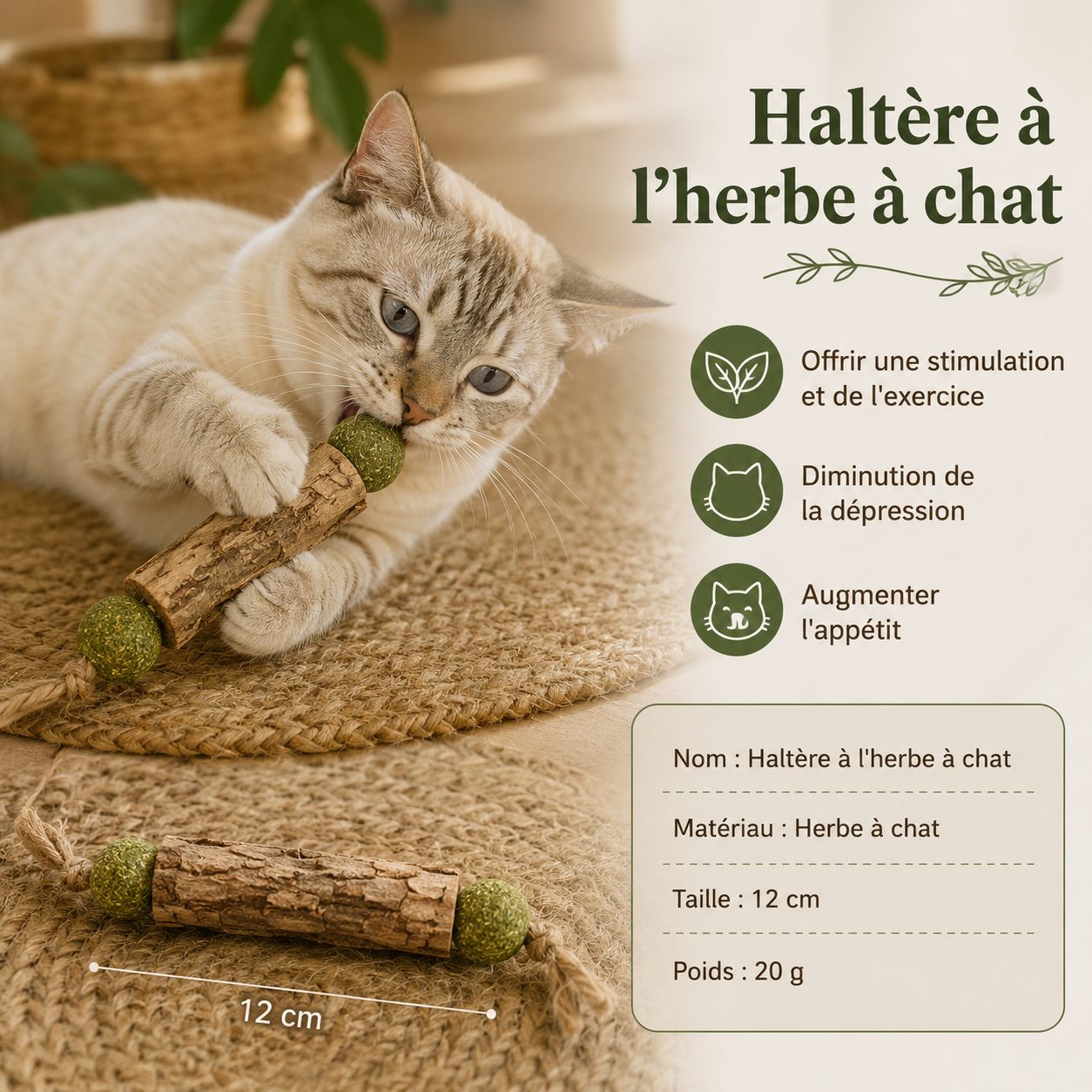 Set 3 pcs bâtonnets à jouer en matatabi pour chats